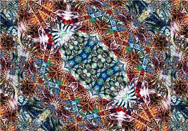 《Inzoi》将有四季变化和季节着装系统 更真实了！